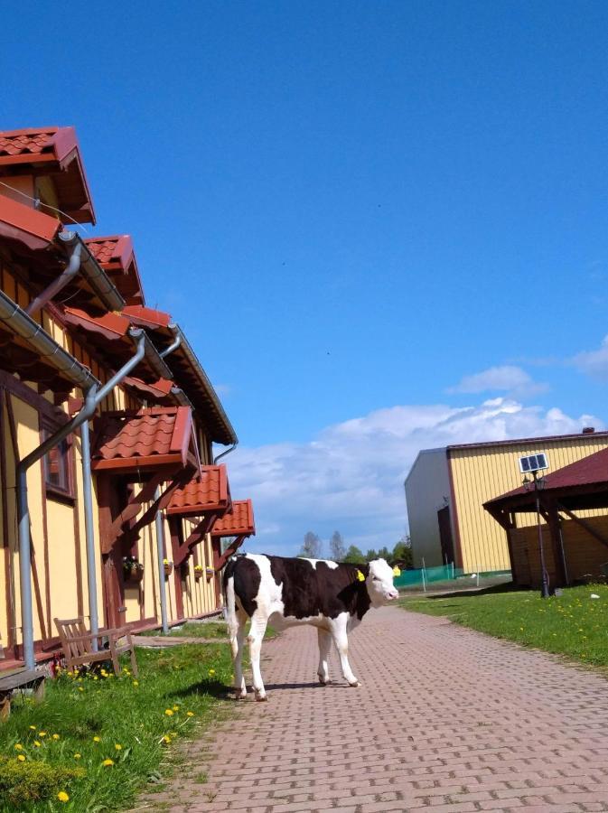 Przy Stajni * Kierzkowo (Gdansk)