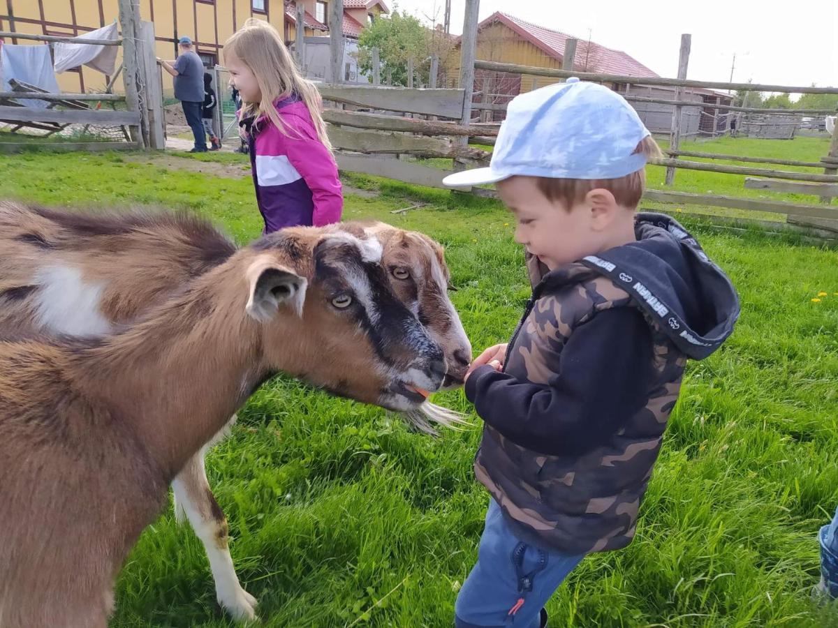 Przy Stajni Farm stay *