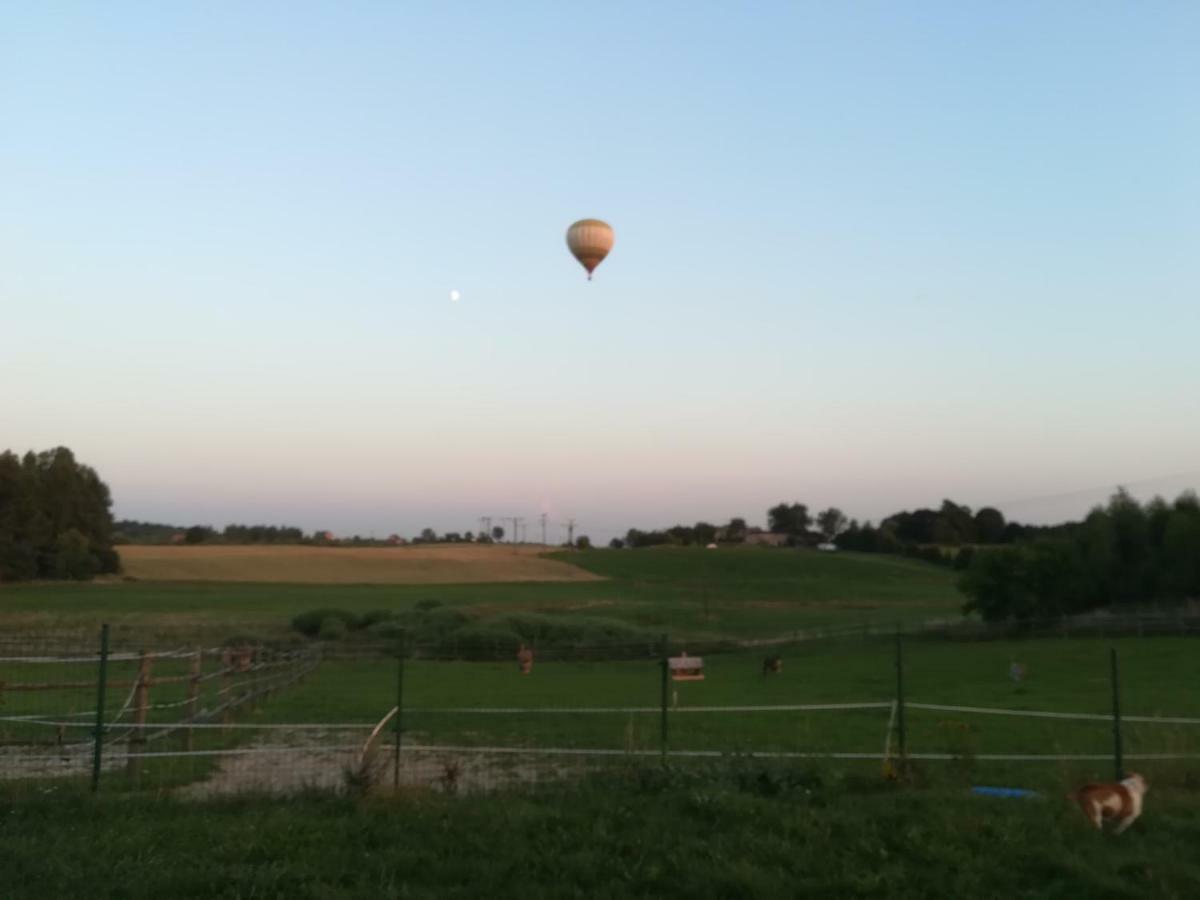 Przy Stajni Farm stay *