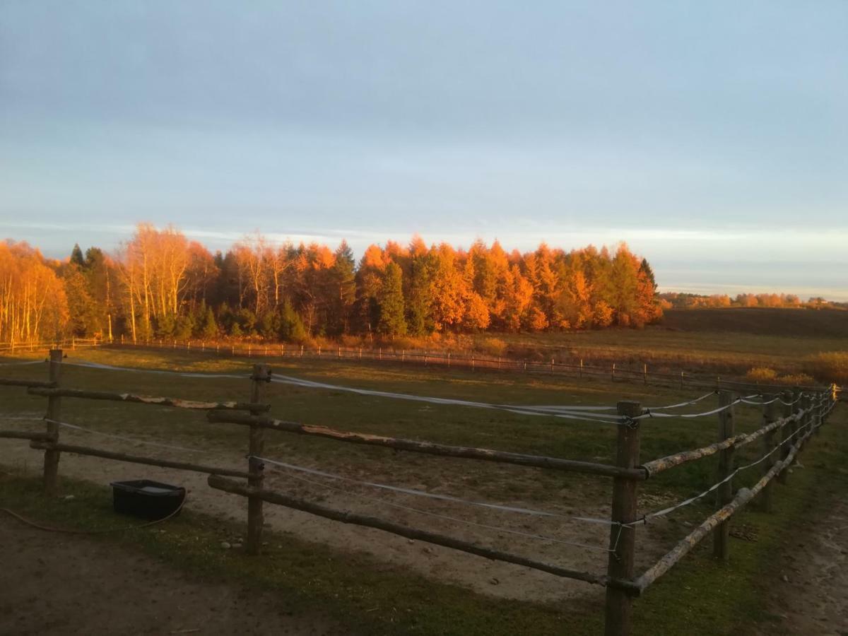 Przy Stajni Farm stay *