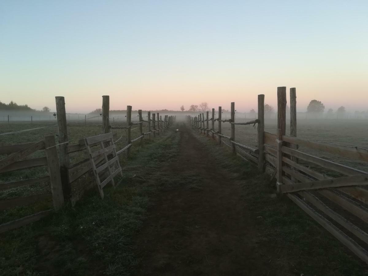 Farm stay Przy Stajni Kierzkowo (Gdansk)