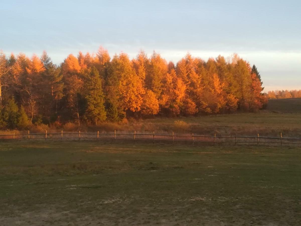 Przy Stajni Kierzkowo (Gdansk)