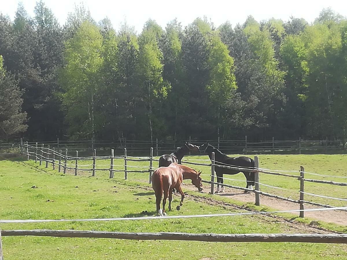 Przy Stajni *