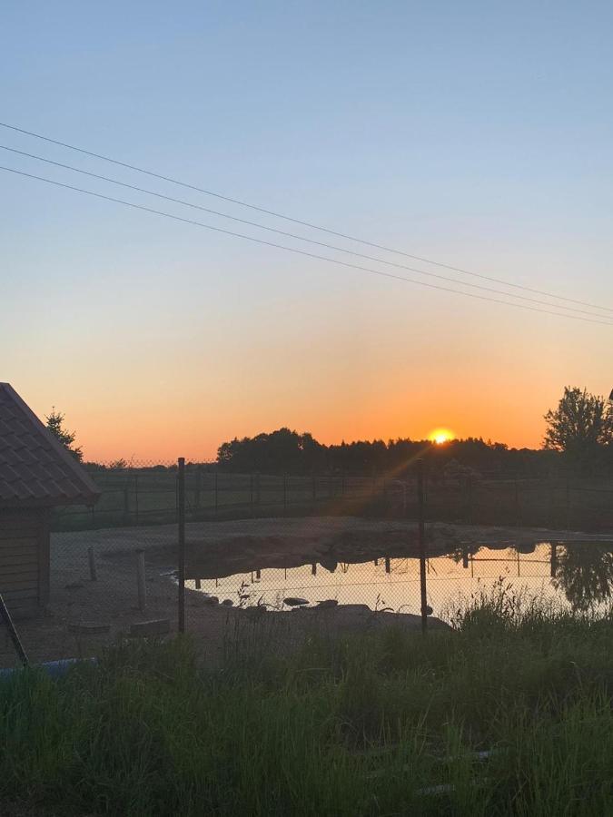 Przy Stajni Farm stay